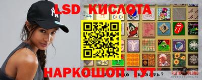 прущие грибы Можайск