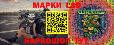 прущие грибы Можайск