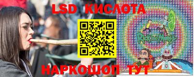 прущие грибы Можайск