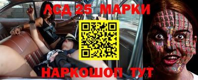 прущие грибы Можайск