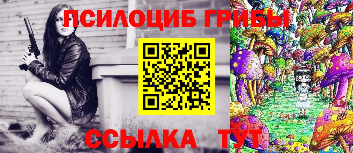 Фролово  Псилоцибиновые грибы Magic Shrooms  купить  сайты  Вход с VPN  Псилоцибиновые грибы Cubensis 